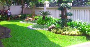 5 Inspirasi Model Taman Minimalis Belakang Rumah yang Nyaman dan Asri