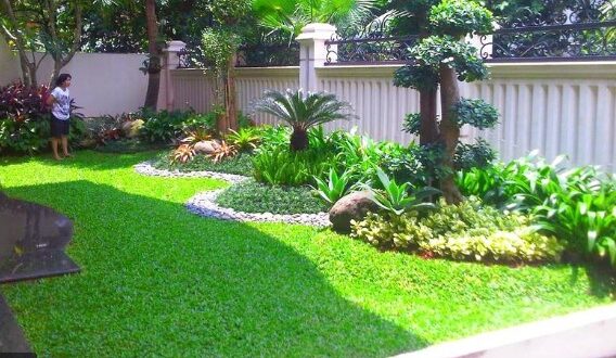 5 Inspirasi Model Taman Minimalis Belakang Rumah yang Nyaman dan Asri